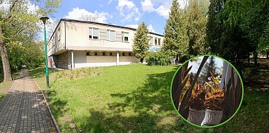 Casting na kwiaty? Czemu nie! Biblioteka organizuje akcję-15254