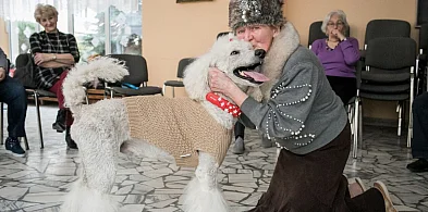 Czworonożni przyjaciele: jak psy wspierają zdrowie i dobrostan seniorów-15894