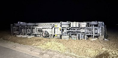 Przewrócona ciężarówka ze zwierzętami pod Kutnem
