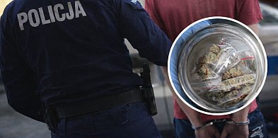 Amfetamina w kieszeni, marihuana w domu. Policyjna akcja w Kutnie