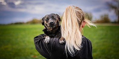 Zrelaksuj się i pomóż zwierzętom. Charytatywna joga w gminie Kutno
