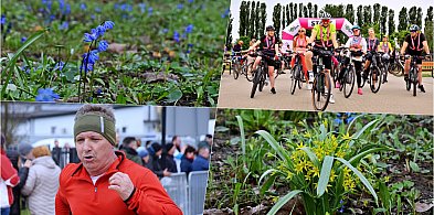 Wiosna w Kutnie: Mieszkańcy już cieszą się słońcem i pierwszymi kwiatami