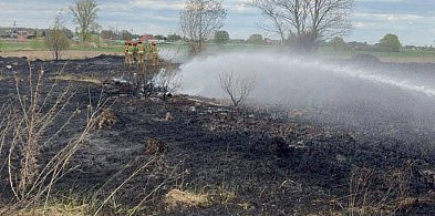 Pożar traw obok Kutna. Służby opanowały żywioł