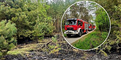Kolejny pożar obok Kutna. Łódzkie w strefie wysokiego ryzyka