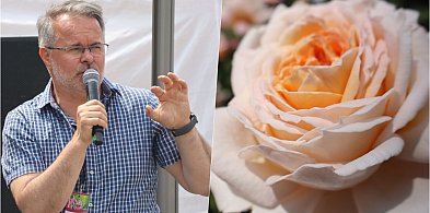 Piknik wśród róż w Kutnie: Tłumy turystów z Łodzi i porady Marka Jezierskiego