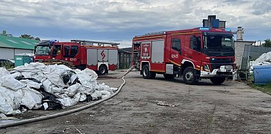 Pożar nieużytków przy tartaku. Strażacy walczyli z ogniem na ul. Przemysłowej