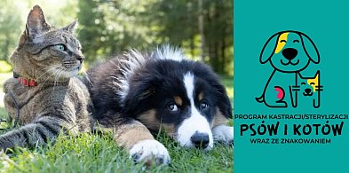 Masz psa lub kota? Skorzystaj z bezpłatnego programu
