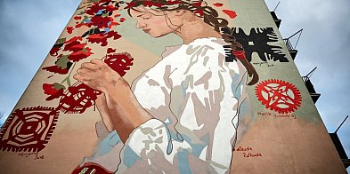 Pomysły z naszego regionu otrzymały wsparcie-15443