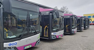 Znicz w ręku, bilet w kieszeni. MZK uruchamia specjalne linie na 1 listopada-15110