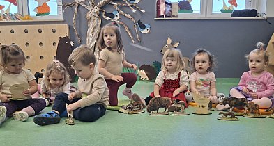 Leśna Gromada czeka na maluchy! Trwa nabór do klubu