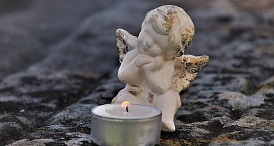 W mijającym tygodniu odeszli od nas [30 styczeń - 6 luty]