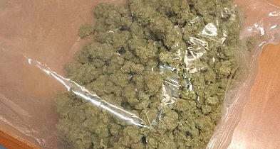 Wpadł przez brak podświetlenia tablicy. W aucie miał ponad 450 g marihuany