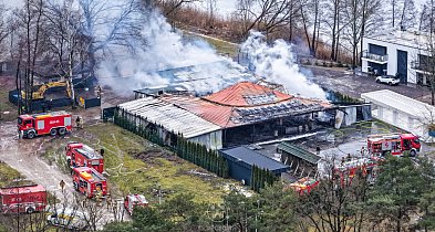 Dramatyczny poranek w Grabinie. Spłonęła Plaża Patelnia