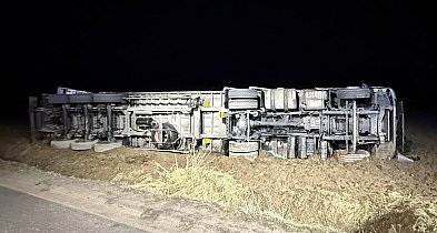 Przewrócona ciężarówka ze zwierzętami pod Kutnem