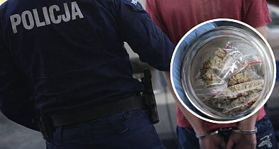 Amfetamina w kieszeni, marihuana w domu. Policyjna akcja w Kutnie