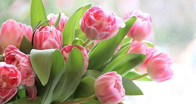 Gdzie najlepiej świętować Dzień Kobiet w Kutnie? [ANKIETA]