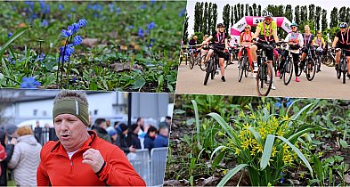 Wiosna w Kutnie: Mieszkańcy już cieszą się słońcem i pierwszymi kwiatami