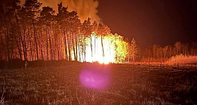 Ogromny pożar obok Kutna. Na miejscu liczne siły i środki