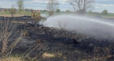 Pożar traw obok Kutna. Służby opanowały żywioł