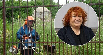 Wielka akcja porządkowania cmentarza żydowskiego, każdy może wziąć udział