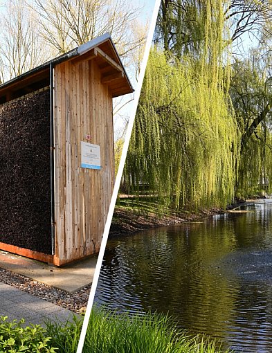 Łęczyca zaprasza na spacer: tężnie i gejzery już działają