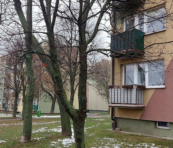 Tragiczne odkrycie w bloku przy ulicy Wyszyńskiego w Gostyninie-15942