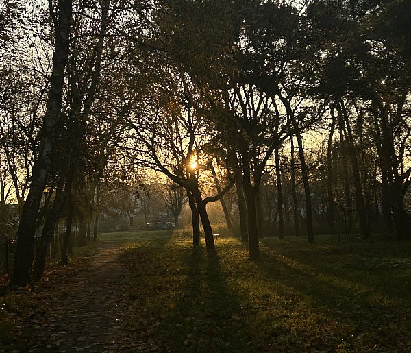 Nadchodzi najkrótszy dzień w 2025 roku. Sprawdź, kiedy przypadnie-16426