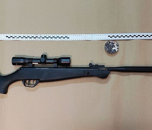 Bestialskie znęcanie nad zwierzęciem. Strzelał do kota z wiatrówki