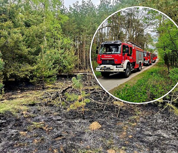 Kolejny pożar obok Kutna. Łódzkie w strefie wysokiego ryzyka