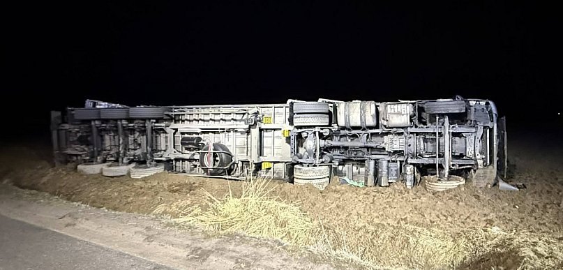 Przewrócona ciężarówka ze zwierzętami pod Kutnem