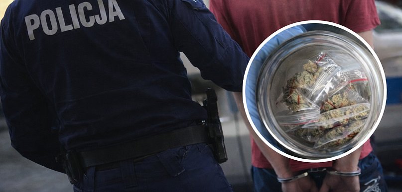 Amfetamina w kieszeni, marihuana w domu. Policyjna akcja w Kutnie