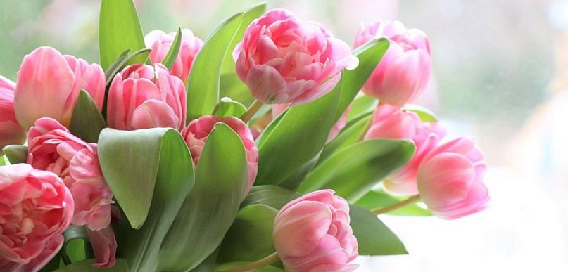 Gdzie najlepiej świętować Dzień Kobiet w Kutnie? [ANKIETA]