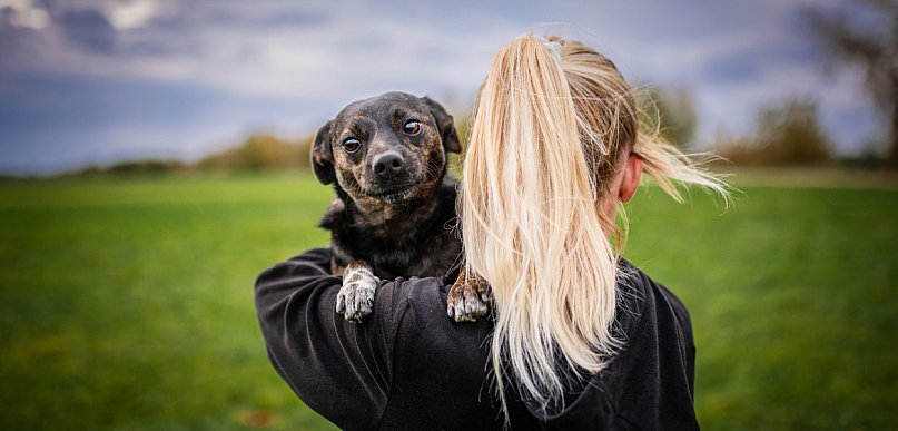 Zrelaksuj się i pomóż zwierzętom. Charytatywna joga w gminie Kutno