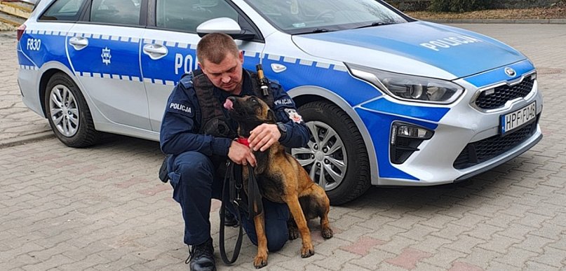 Czworonożna policjantka rozpoczęła służbę w Kutnie