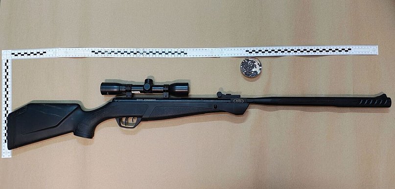 Bestialskie znęcanie nad zwierzęciem. Strzelał do kota z wiatrówki