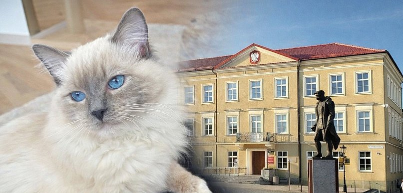 50% dopłaty do zabiegów dla psów i kotów. Start programu już 25 marca