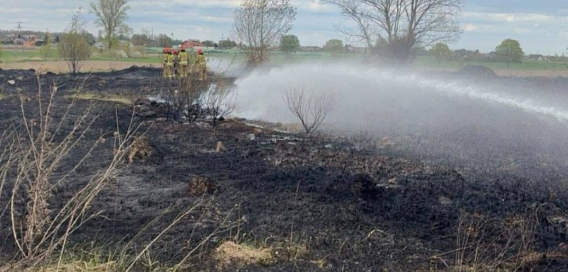 Pożar traw obok Kutna. Służby opanowały żywioł