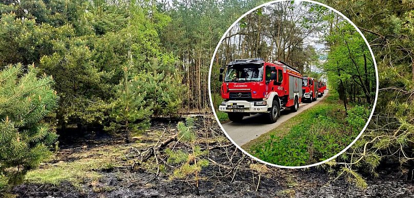 Kolejny pożar obok Kutna. Łódzkie w strefie wysokiego ryzyka