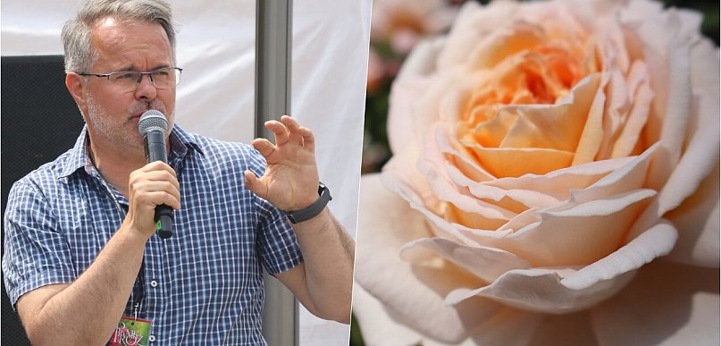 Piknik wśród róż w Kutnie: Tłumy turystów z Łodzi i porady Marka Jezierskiego