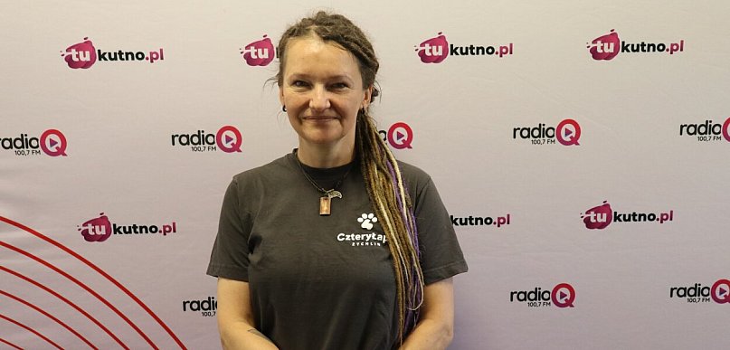 Ratują psy i koty przed bezdomnością. Poznaj działalność Czterech Łap Żychlin