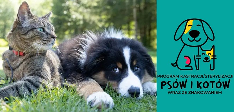 Masz psa lub kota? Skorzystaj z bezpłatnego programu