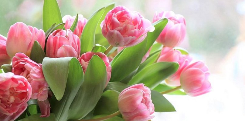 Gdzie najlepiej świętować Dzień Kobiet w Kutnie? [ANKIETA]