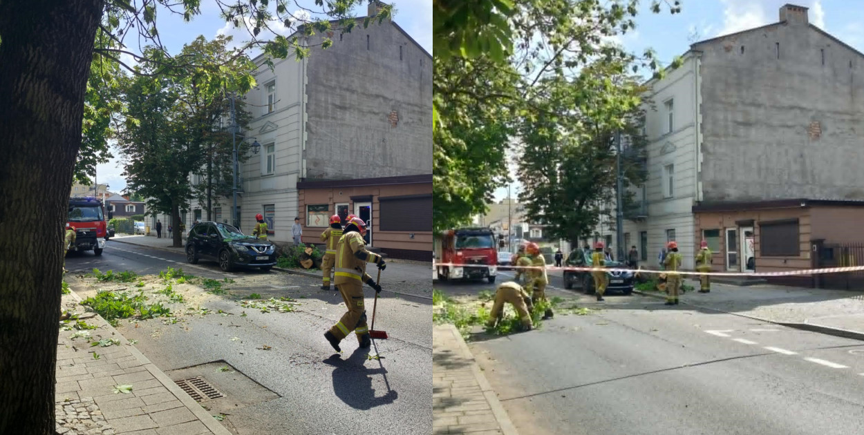 Drzewo zawaliło się na pojazd w Kutnie - na miejscu pracują 2 zastępy straży pożar