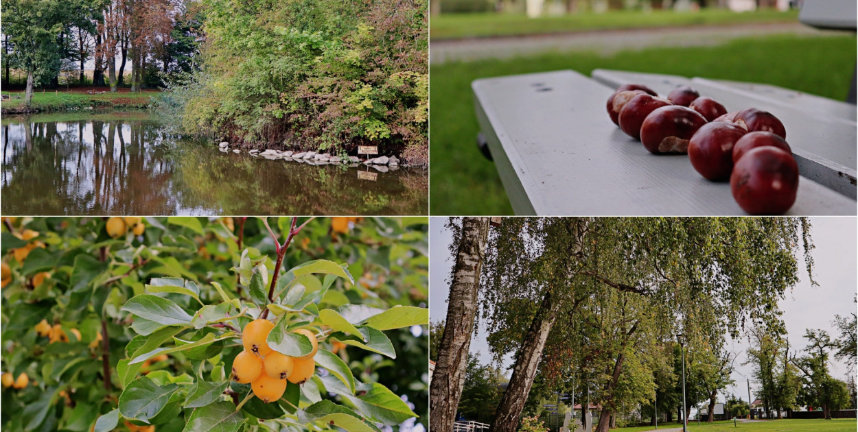 Pierwszy dzień jesieni i festiwal kolorów w dworskim parku [ZDJĘCIA]