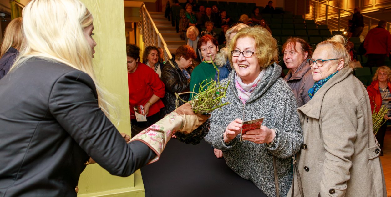 poglądowe, KDK / Jurczak FOTO