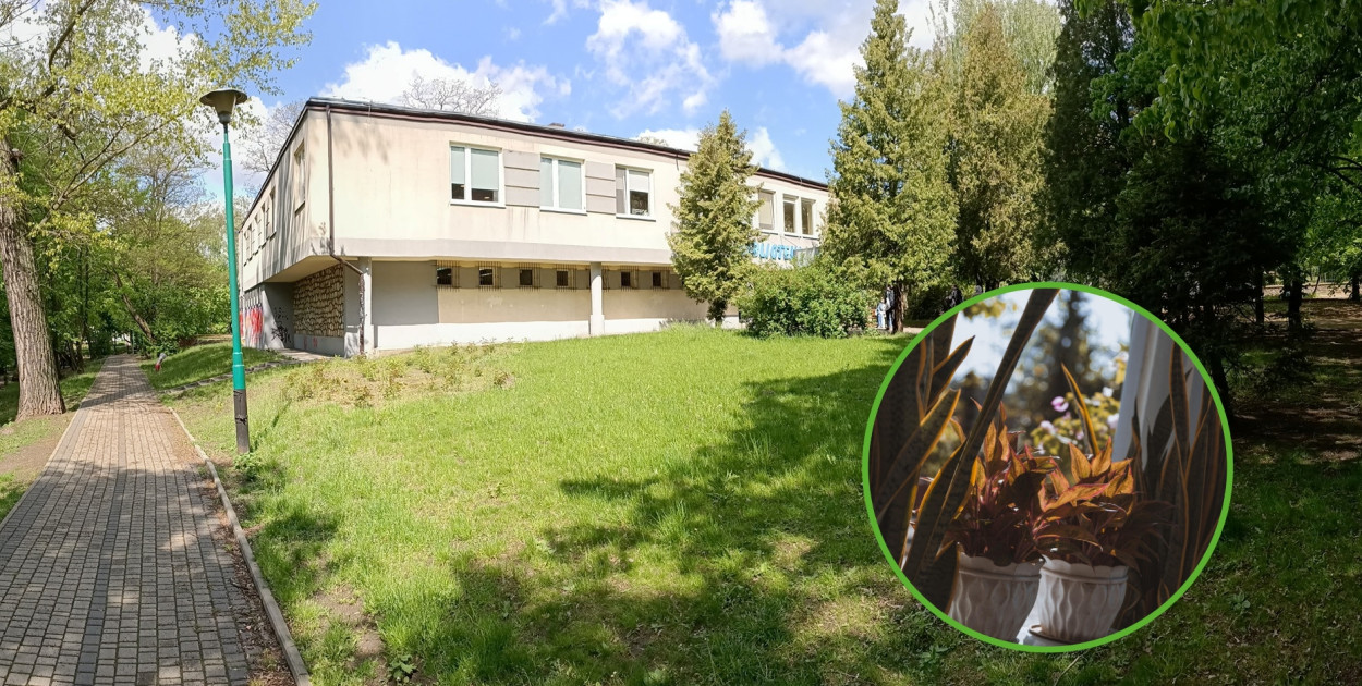 MiPBP w Kutnie, pixabay