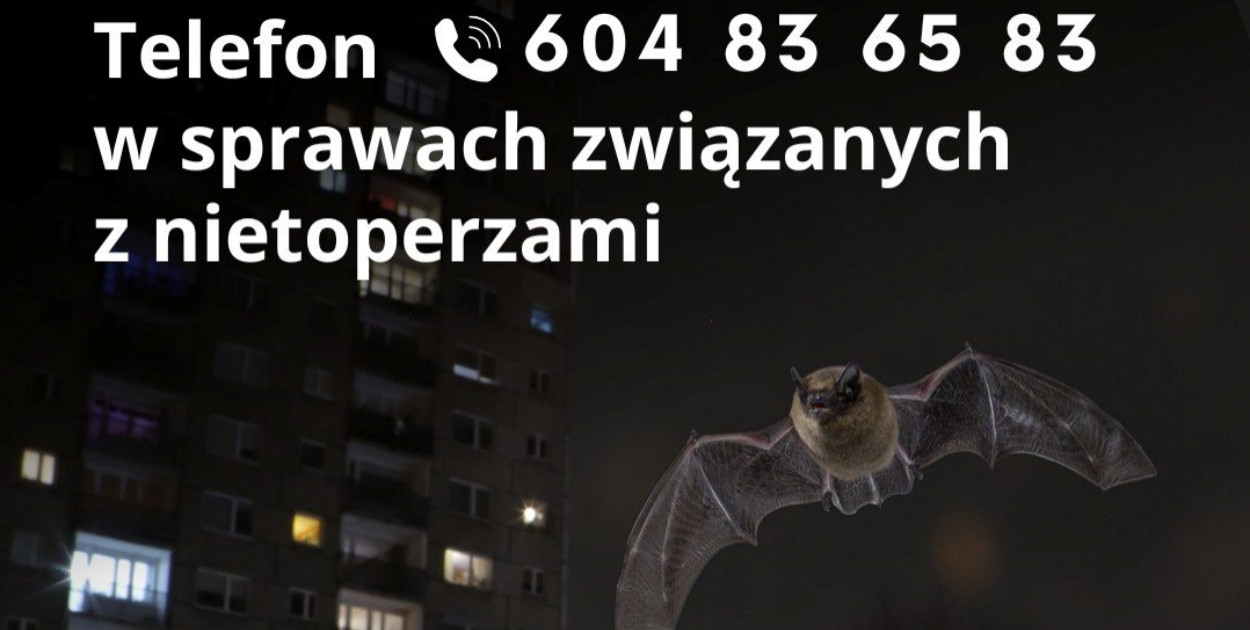 FB Polskie Towarzystwo Ochrony Przyrody „Salamandra”