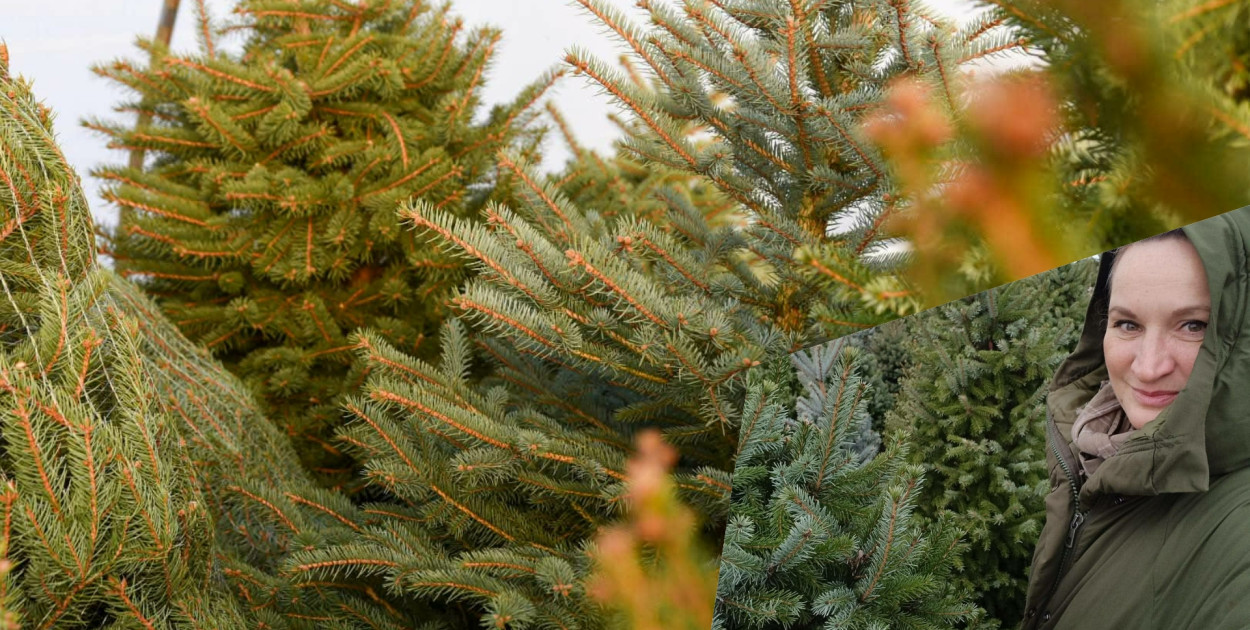 fot. Angelika Szałwińska