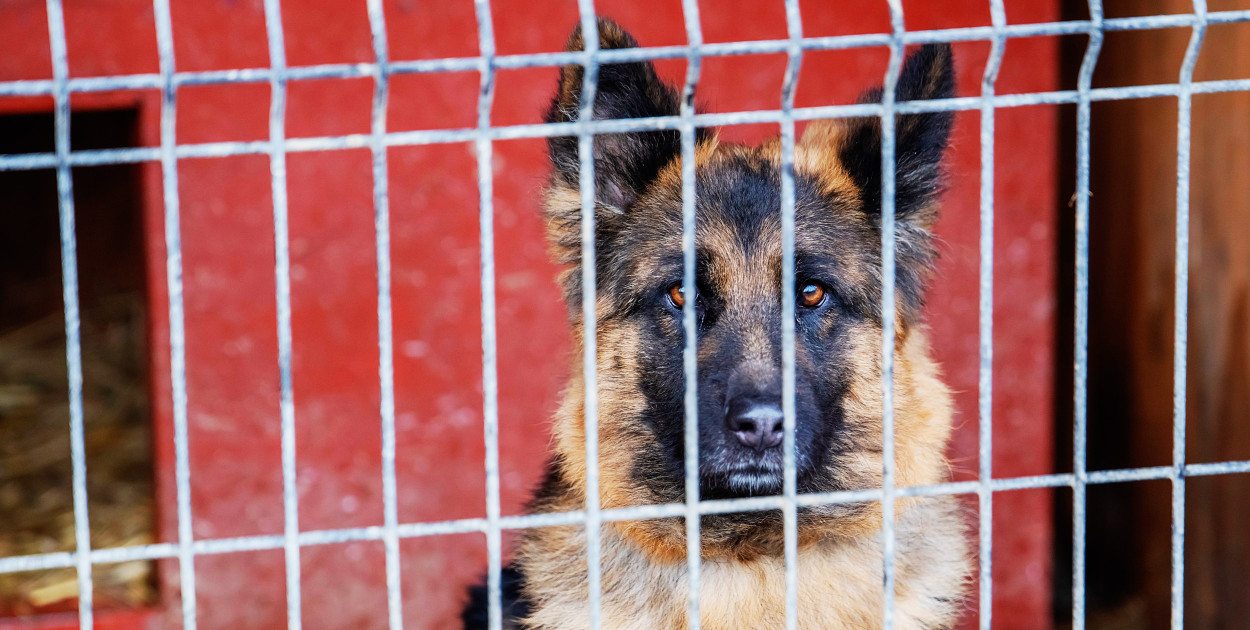 fot. Urząd Marszałkowski Województwa Łódzkiego