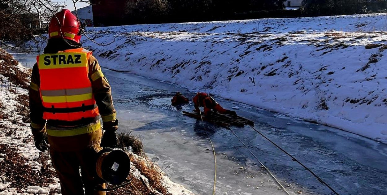 fot.FB: Komenda Powiatowa Państwowej Straży Pożarnej w Kutnie